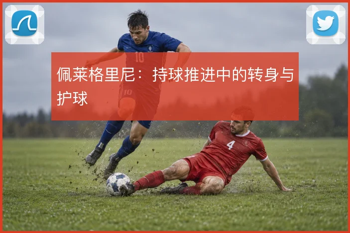 佩莱格里尼:持球推进中的转身与护球