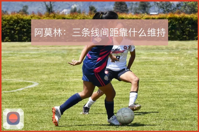 阿莫林：三条线间距靠什么维持