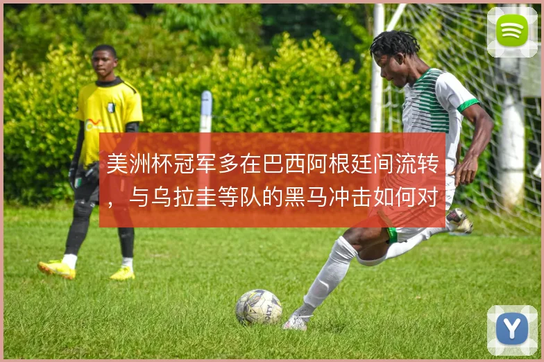 美洲杯冠军多在巴西阿根廷间流转，与乌拉圭等队的黑马冲击如何对照