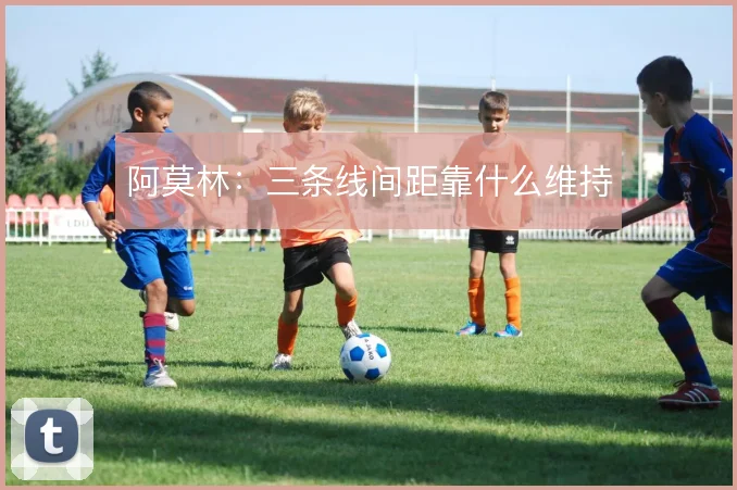 阿莫林:三条线间距靠什么维持