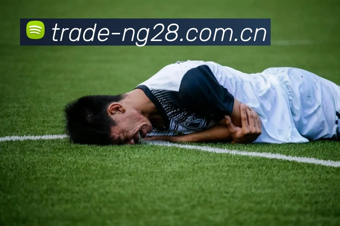 NG28平台生态图
