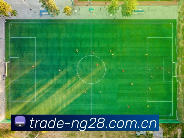 NG28APP 赛事界面图